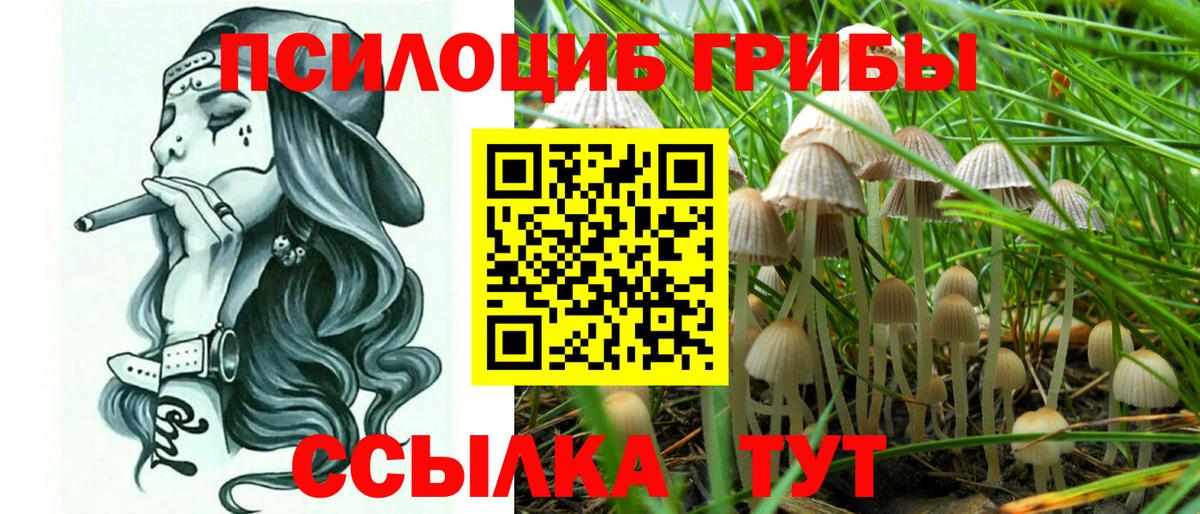 Галлюциногенные грибы прущие грибы Тольятти