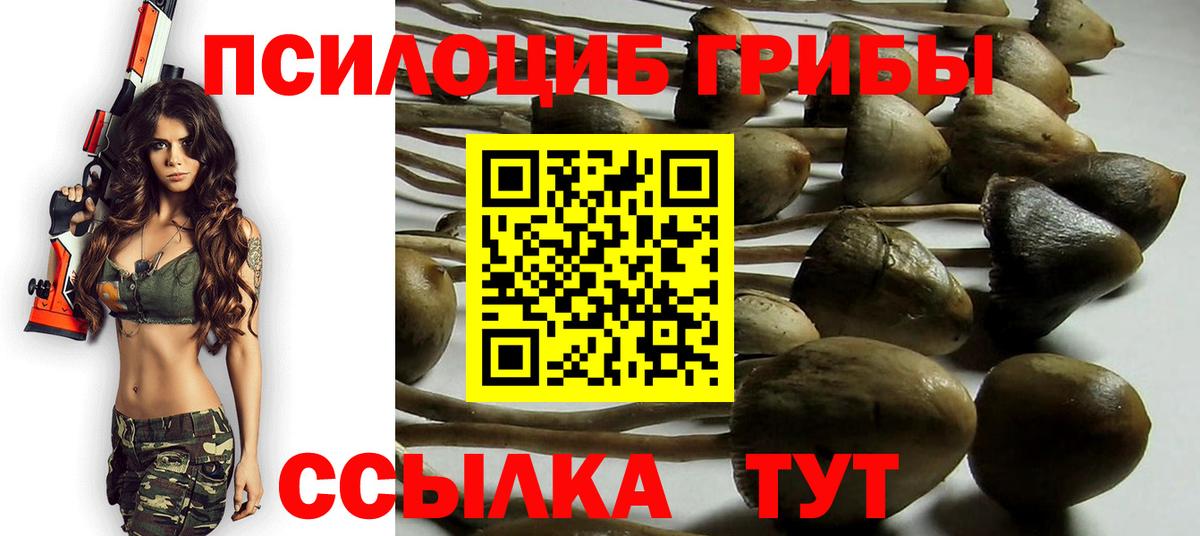 Псилоцибиновые грибы прущие грибы  что такое   Псилоцибиновые грибы Psilocybine cubensis  Тольятти  Вход с VPN 